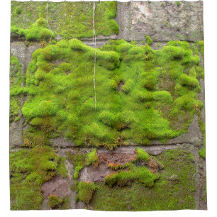 Moss wall green rock texture shower curtain