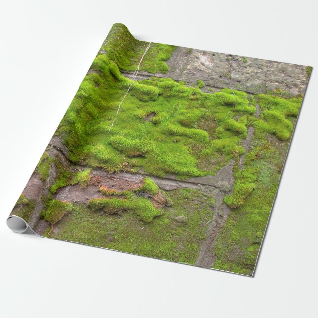 Moss wall green rock texture wrapping paper (Unrolled)