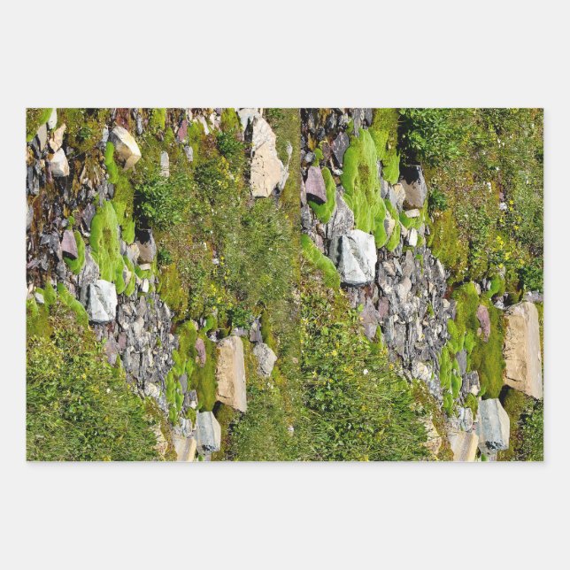 Moss wrapping paper sheets (Front)