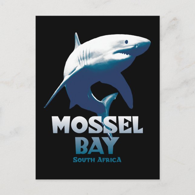 Mossel Bay Great White Shark Scuba Diving Postcard (Front)