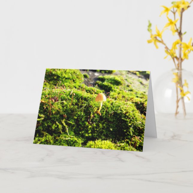 Mosses and Lichens with tiny Mushrooms Card (Yellow Flower)