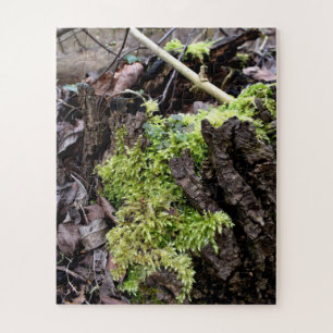 Mosses Jigsaw Puzzle