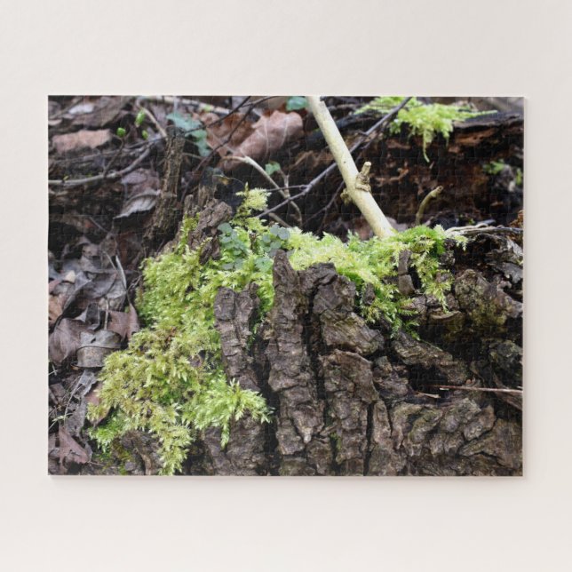 Mosses Jigsaw Puzzle (Horizontal)