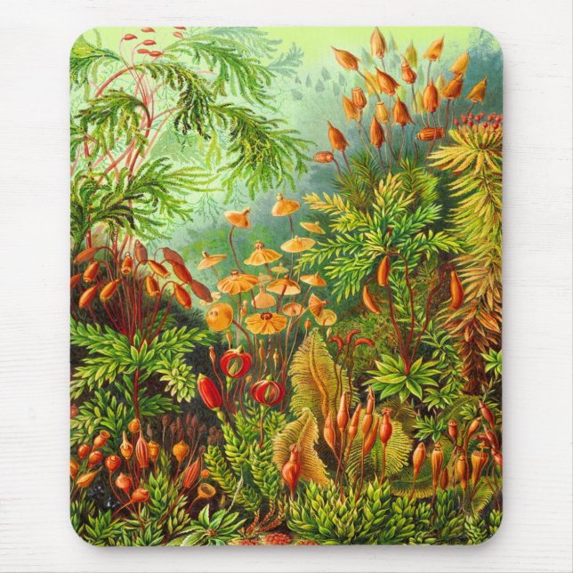 Mosses Mouse Pad (Front)