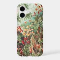Mosses, Muscinae Laubmoose by Ernst Haeckel