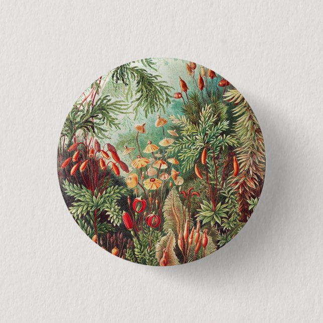 Mosses, Muscinae Laubmoose by Ernst Haeckel 3 Cm Round Badge (Front)