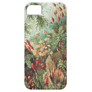 Mosses, Muscinae Laubmoose by Ernst Haeckel Barely There iPhone 5 Case
