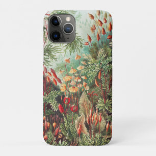 Mosses, Muscinae Laubmoose by Ernst Haeckel iPhone 11 Pro Case