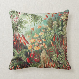Mosses, Muscinae Laubmoose by Ernst Haeckel Cushion