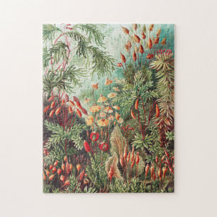 Mosses, Muscinae Laubmoose by Ernst Haeckel Jigsaw Puzzle