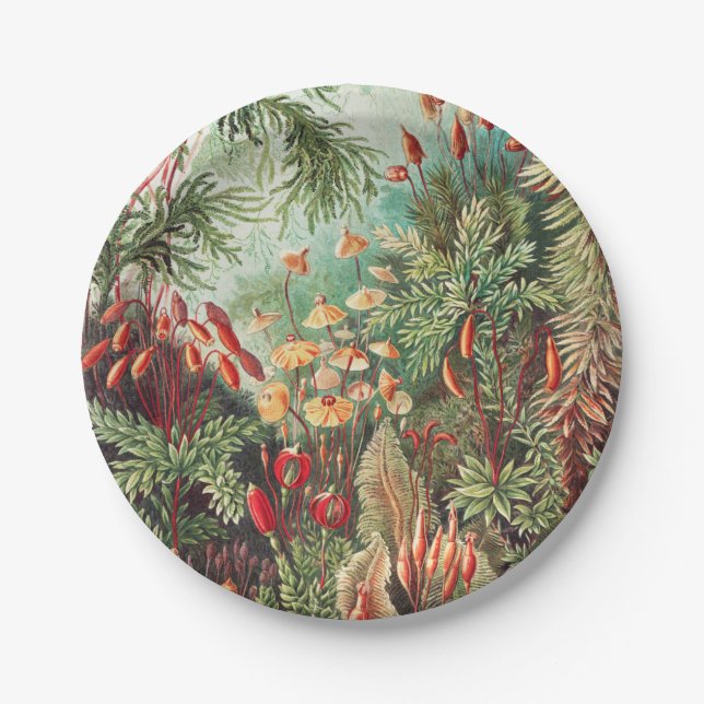 Mosses, Muscinae Laubmoose by Ernst Haeckel Paper Plate (Front)