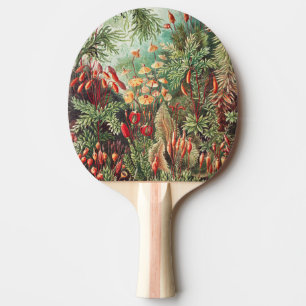 Mosses, Muscinae Laubmoose by Ernst Haeckel Ping Pong Paddle