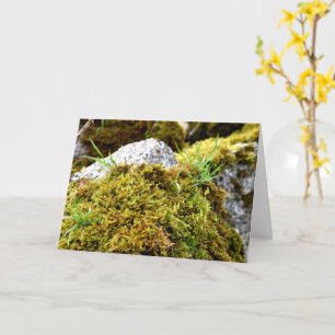 Mosses , Spring awakening Card