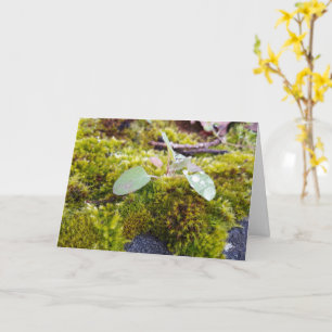 Mosses with tiny Flowers , Spring awakening Card