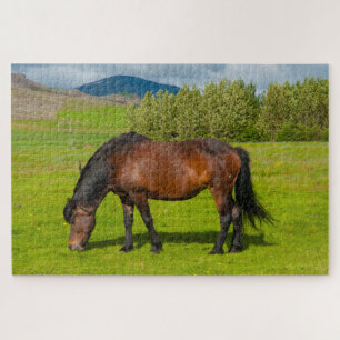 Mossfellsbaer Icelandic Horse Jigsaw Puzzle