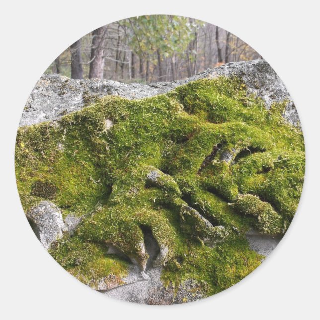 Mossy Broken Headstone Classic Round Sticker (Front)