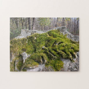 Mossy Broken Headstone Jigsaw Puzzle