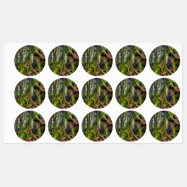 Mossy Forest (Sheet)