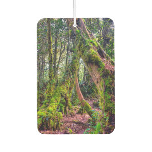 Mossy Forest Car Air Freshener