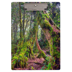 Mossy Forest Clipboard
