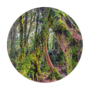 Mossy Forest Cutting Board