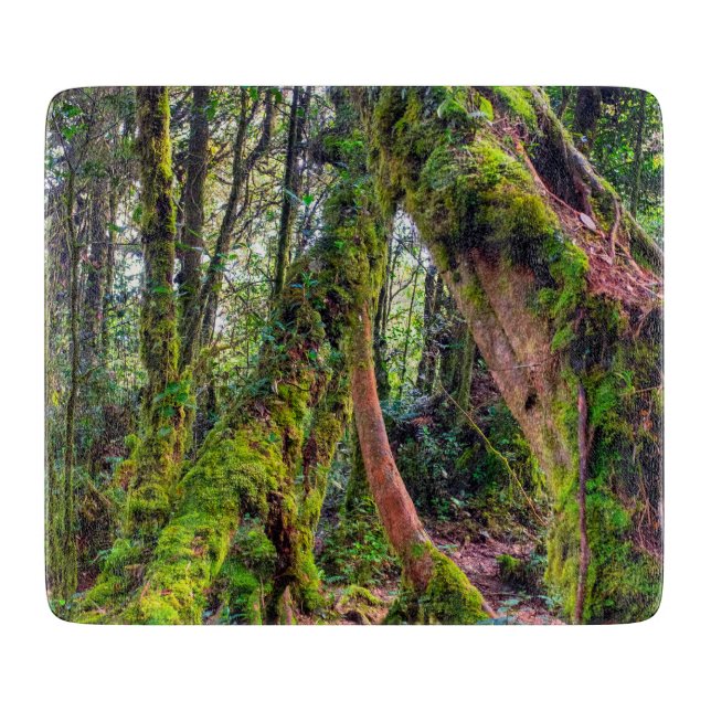 Mossy Forest Cutting Board (Front)