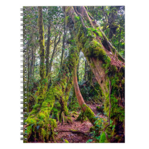 Mossy Forest Notebook