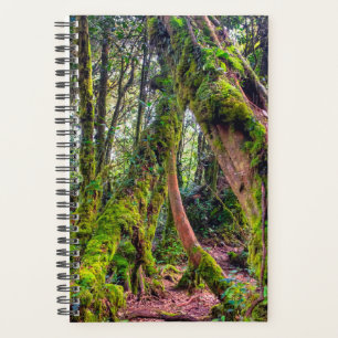 Mossy Forest Planner