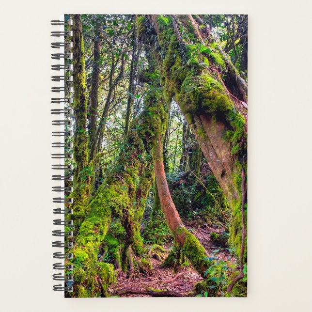 Mossy Forest Planner (Front)