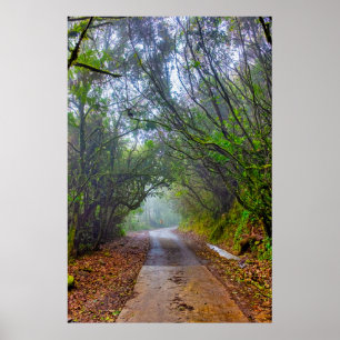 Mossy Forest Poster