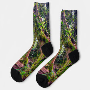Mossy Forest Socks