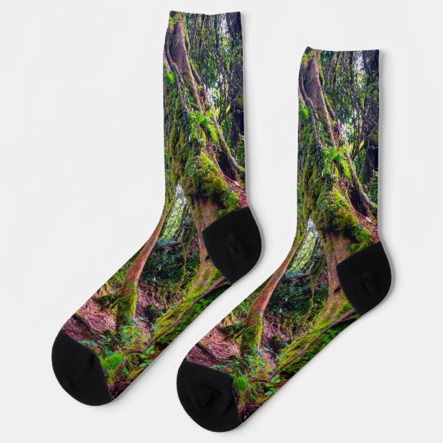Mossy Forest Socks (Left)
