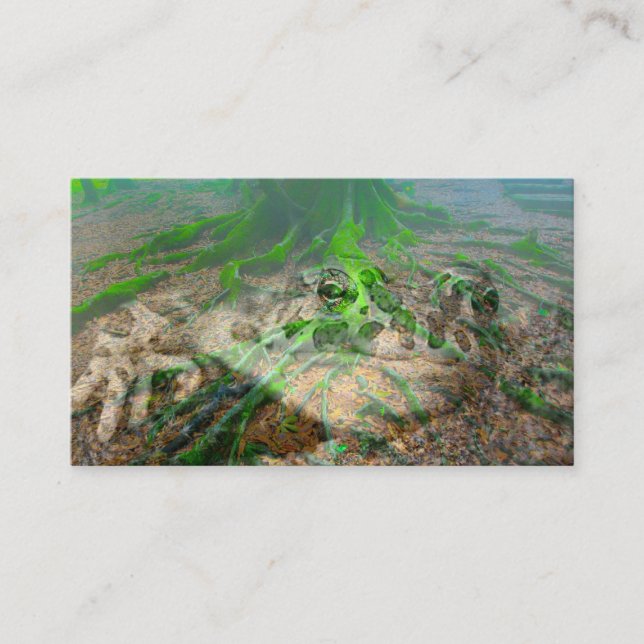Mossy Frog Business Card (Front)