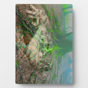 Mossy Frog Plaque