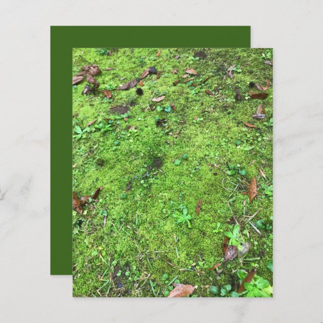 Mossy Green Woodlands Scrapbook Paper (Front/Back)
