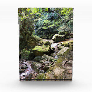 Mossy Mountain Stream in a Japanese Forest Jigsaw Photo Block