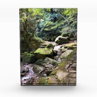 Mossy Mountain Stream in a Japanese Forest Jigsaw Photo Block