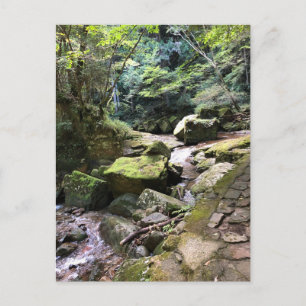 Mossy Mountain Stream in a Japanese Forest Jigsaw Postcard