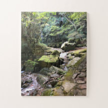 Mossy Mountain Stream in a Japanese Forest Jigsaw
