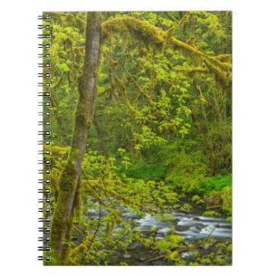 Mossy Rocks And Trees Line Eagle Creek Notebook