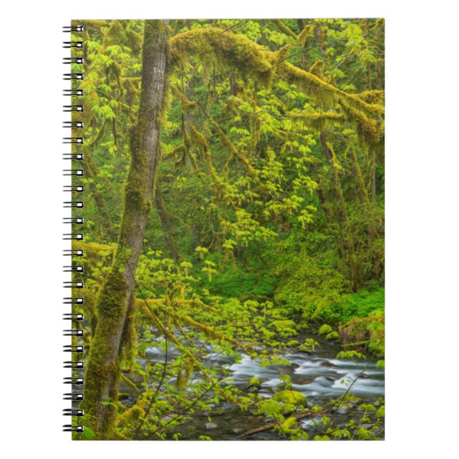 Mossy Rocks And Trees Line Eagle Creek Notebook (Front)