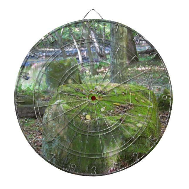 Mossy Rocks Dartboard (Front)