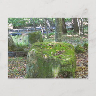 Mossy Rocks on Bank Postcard