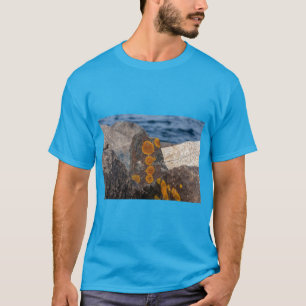 Mossy Sea Stones Beach Tee