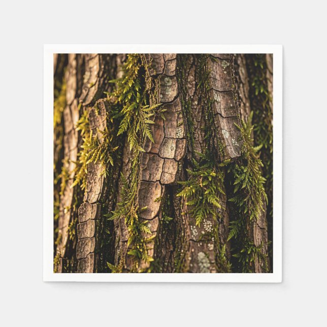  Mossy Tree Bark Forest Texture  Napkin (Front)