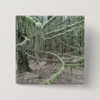 Mossy Trees In Welsh Woodland 2025 15 Cm Square Badge