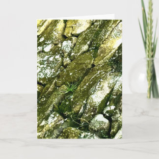 Mossy Wet Green Rocks Stones Boulders Photography Card