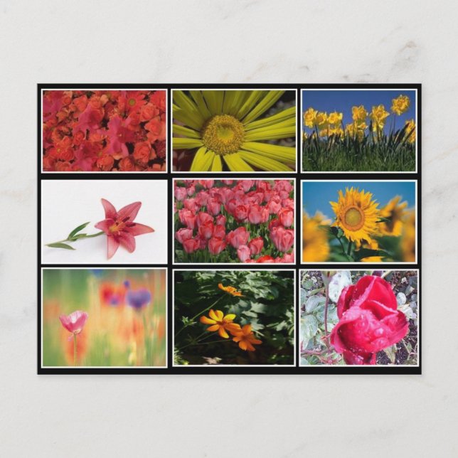 Most Beautiful Flowers Collage Postcard (Front)