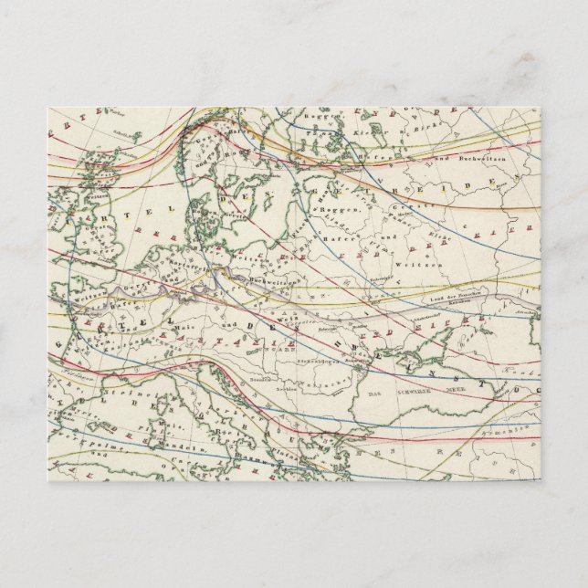 most important cultural distribution postcard (Front)