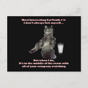 Most Interesting Cat #3.jpg Postcard